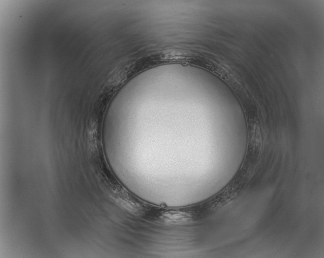 X0000062910557200601271742