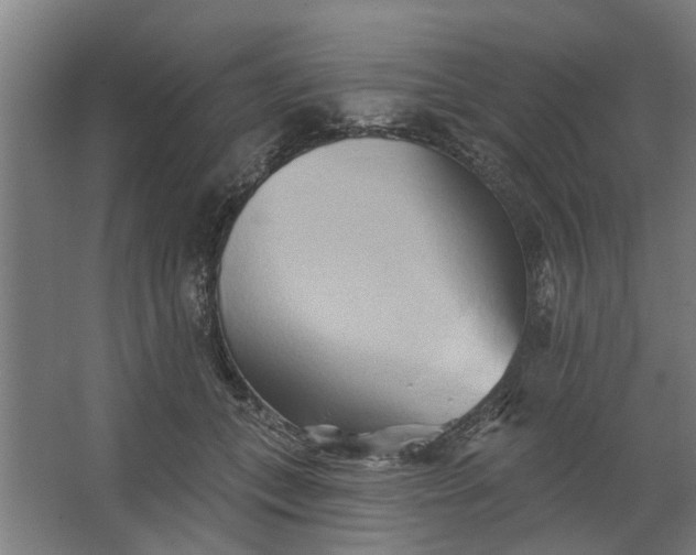 X0000062910559200601271742