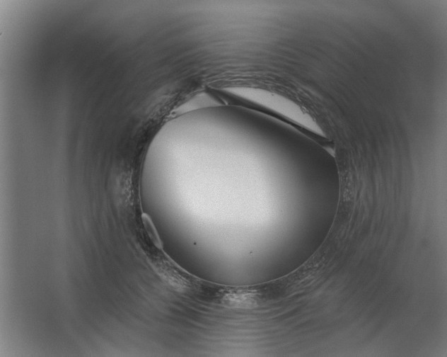 X0000062910560200601271742