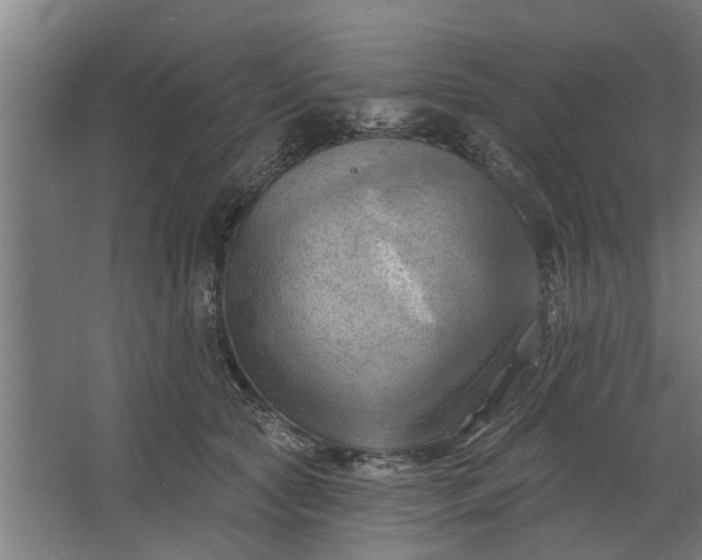 X0000062910561200601271742