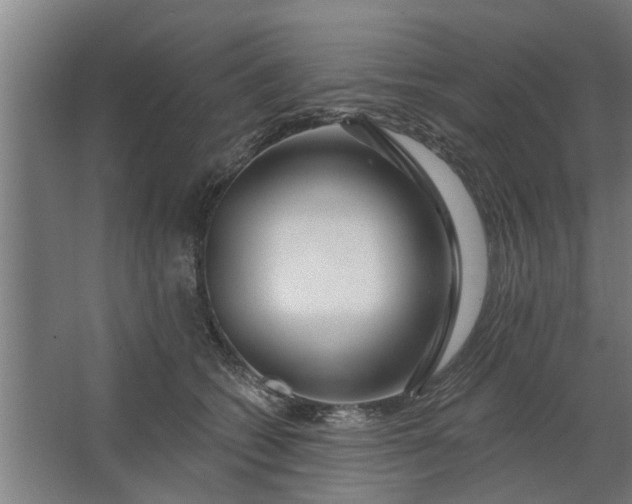 X0000062910562200601271742