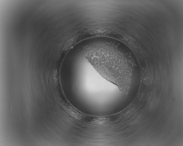 X0000062910563200601271742