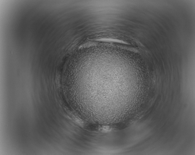 X0000062910565200601271742