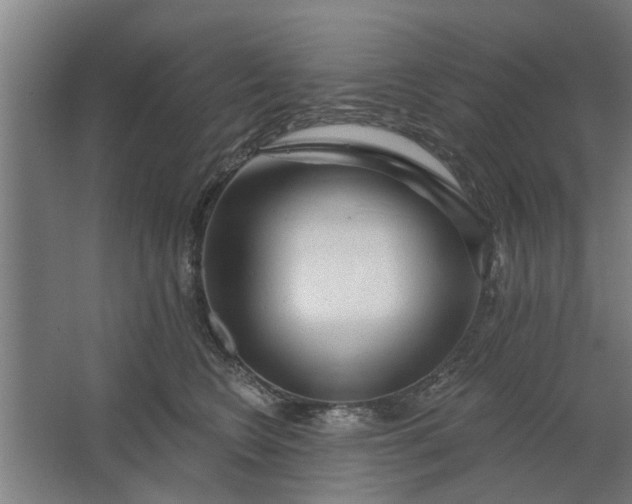 X0000062910566200601271742