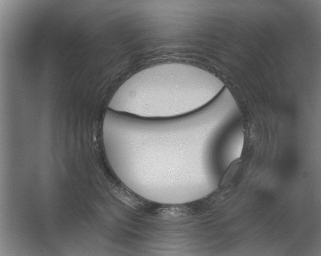 X0000062910567200601271742