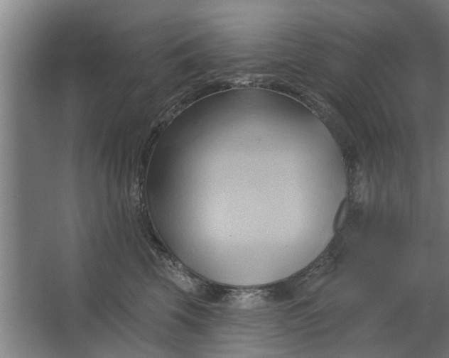 X0000062910569200601271742