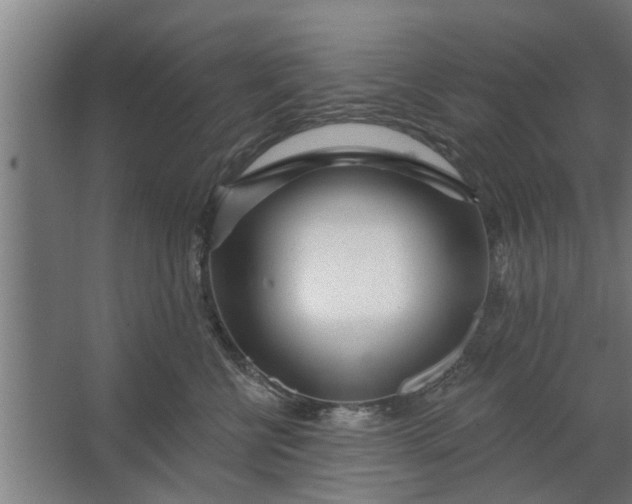 X0000062910570200601271742