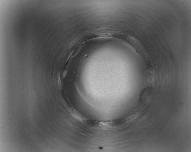 X0000062910573200601271742