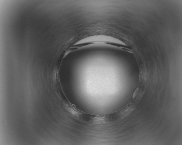 X0000062910574200601271742