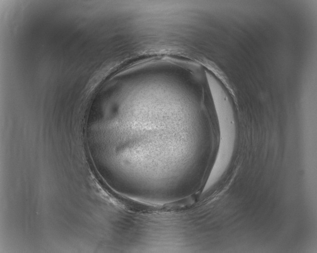 X0000062910577200601271742