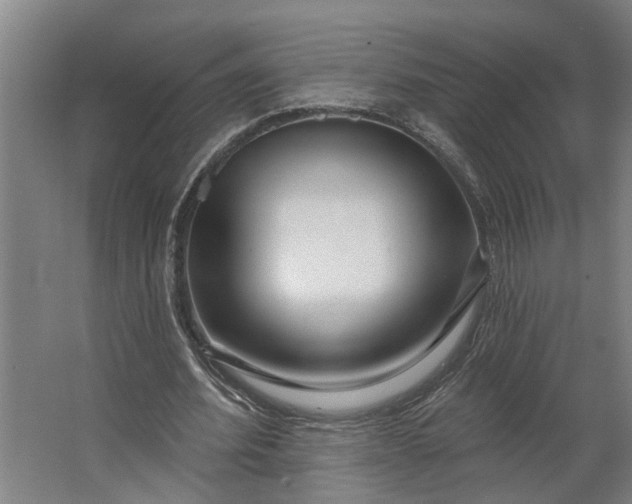 X0000062910580200601271742