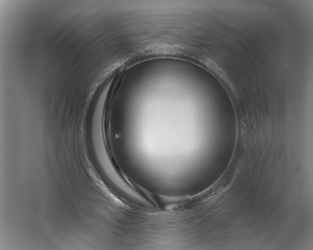 X0000062910581200601271742