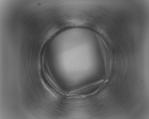 X0000062910582200601271742