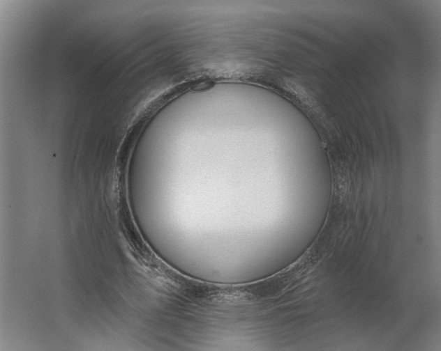 X0000062910583200601271742