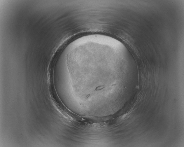 X0000062910584200601271742