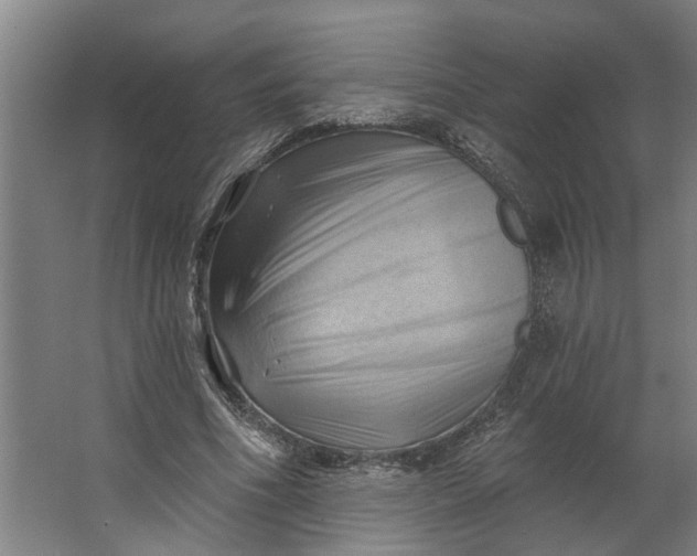 X0000062910586200601271742