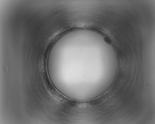 X0000062910587200601271741