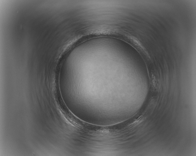 X0000062910588200601271741