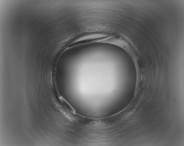 X0000062910589200601271741