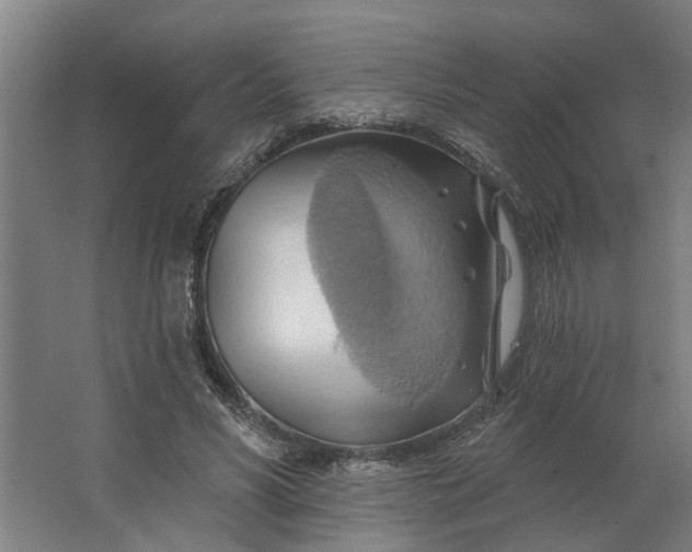 X0000062910590200601271741