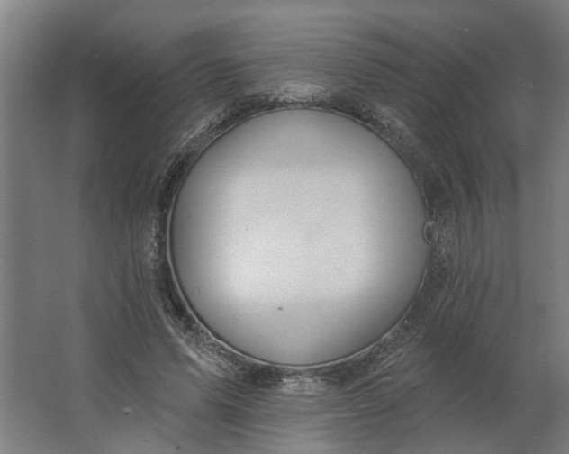 X0000062910591200601271741