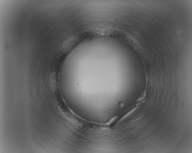 X0000062910594200601271741