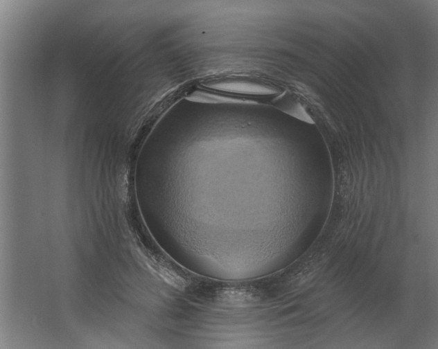 X0000062910596200601271741