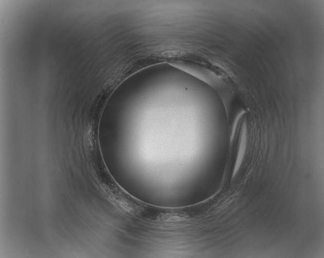 X0000062910597200601271741