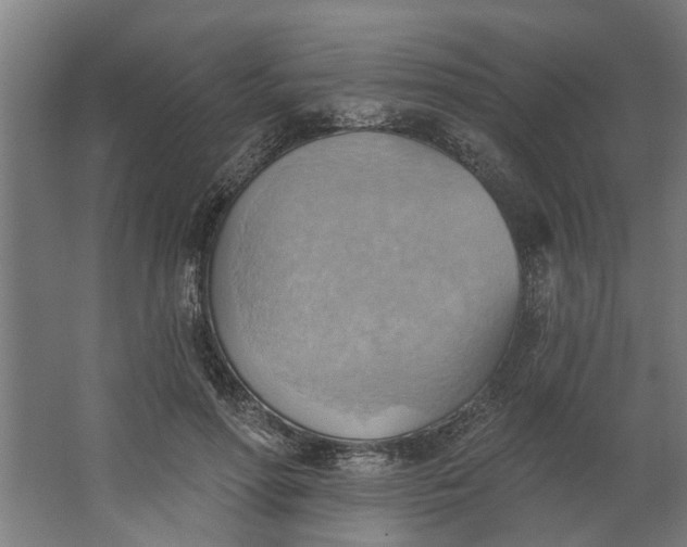 X0000062910598200601271741