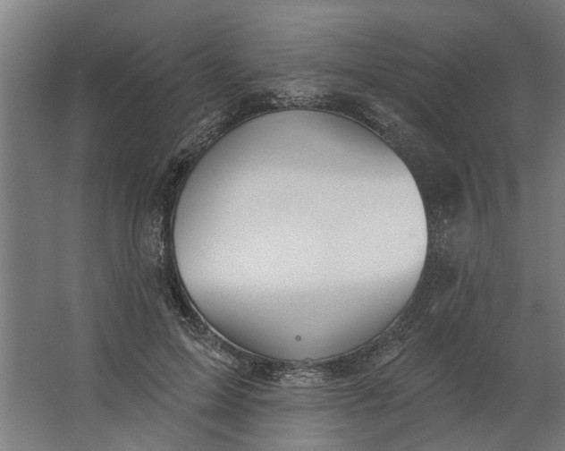 X0000062910599200601271741