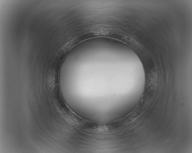 X0000062910600200601271741