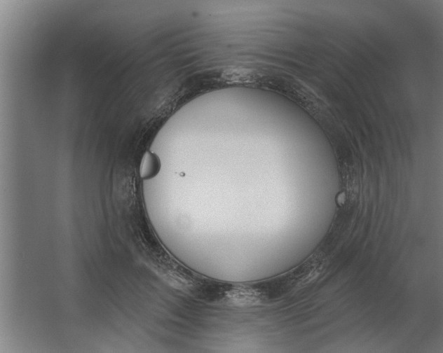 X0000062910603200601271741