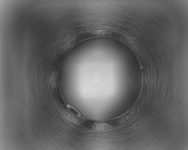 X0000062910605200601271741