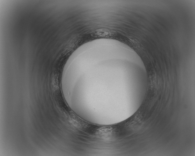 X0000062910606200601271741