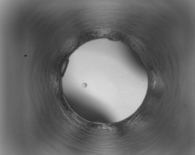 X0000062910607200601271741