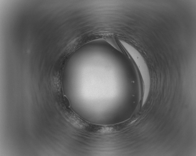 X0000062910609200601271741