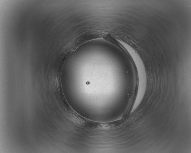 X0000062910613200601271741