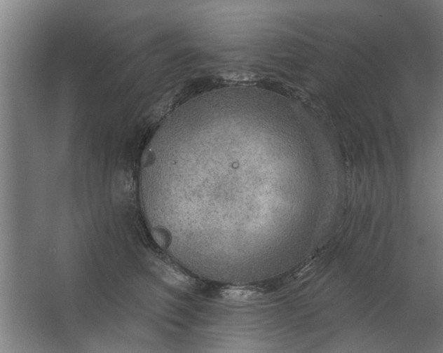 X0000062910614200601271741