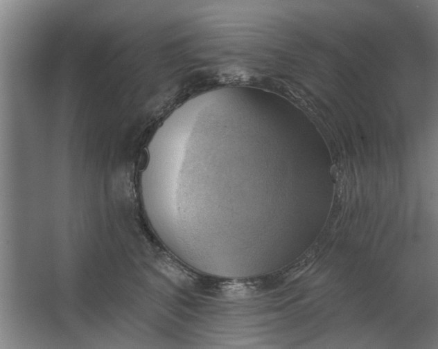 X0000062910616200601271741