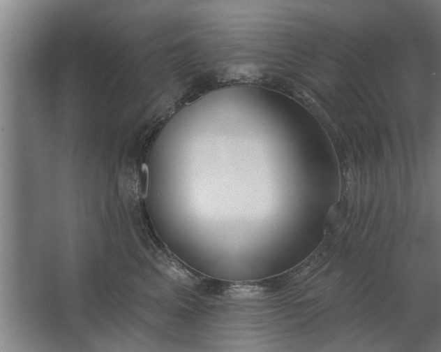 X0000062910617200601271741