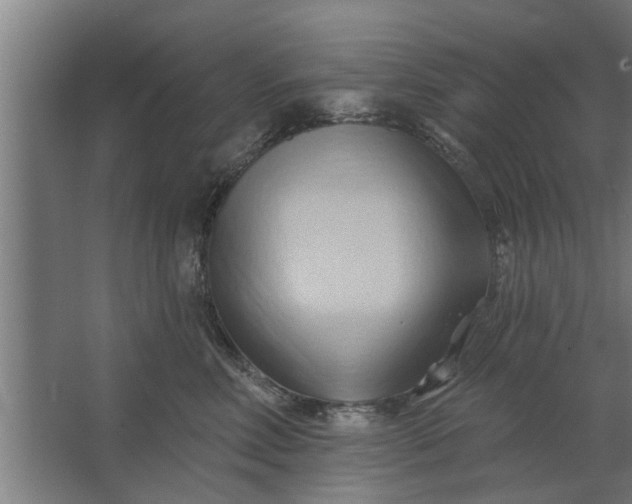 X0000062910618200601271741