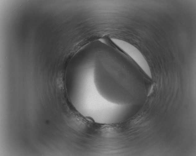 X0000062910620200601271741