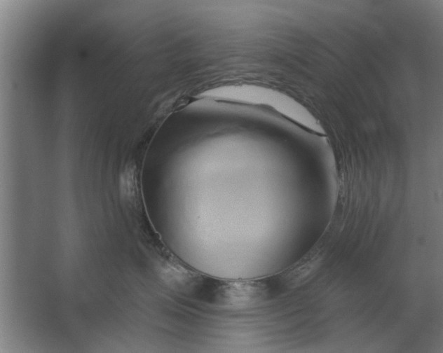 X0000062910623200601271741