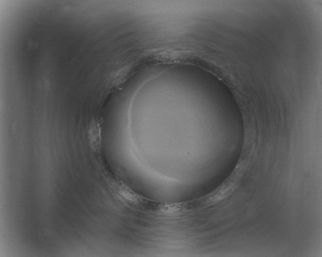 X0000062910624200601271741