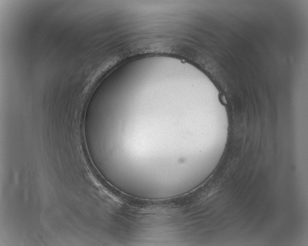 X0000062910625200601271740