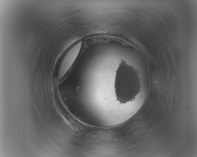 X0000062910626200601271740