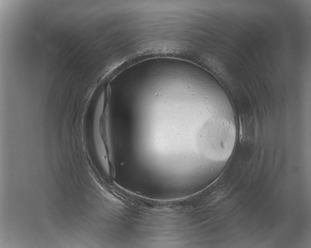 X0000062910627200601271740