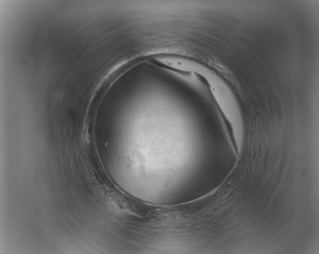 X0000062910628200601271740