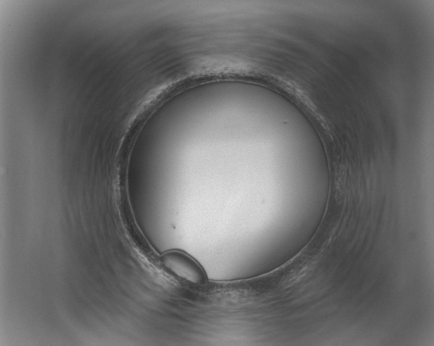 X0000062910629200601271740