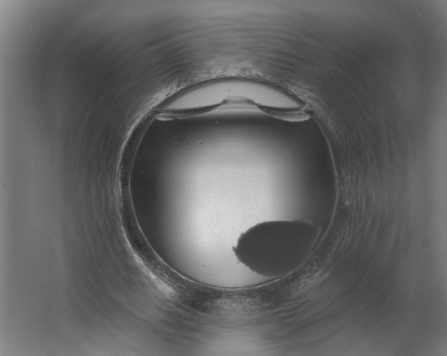 X0000062910630200601271740